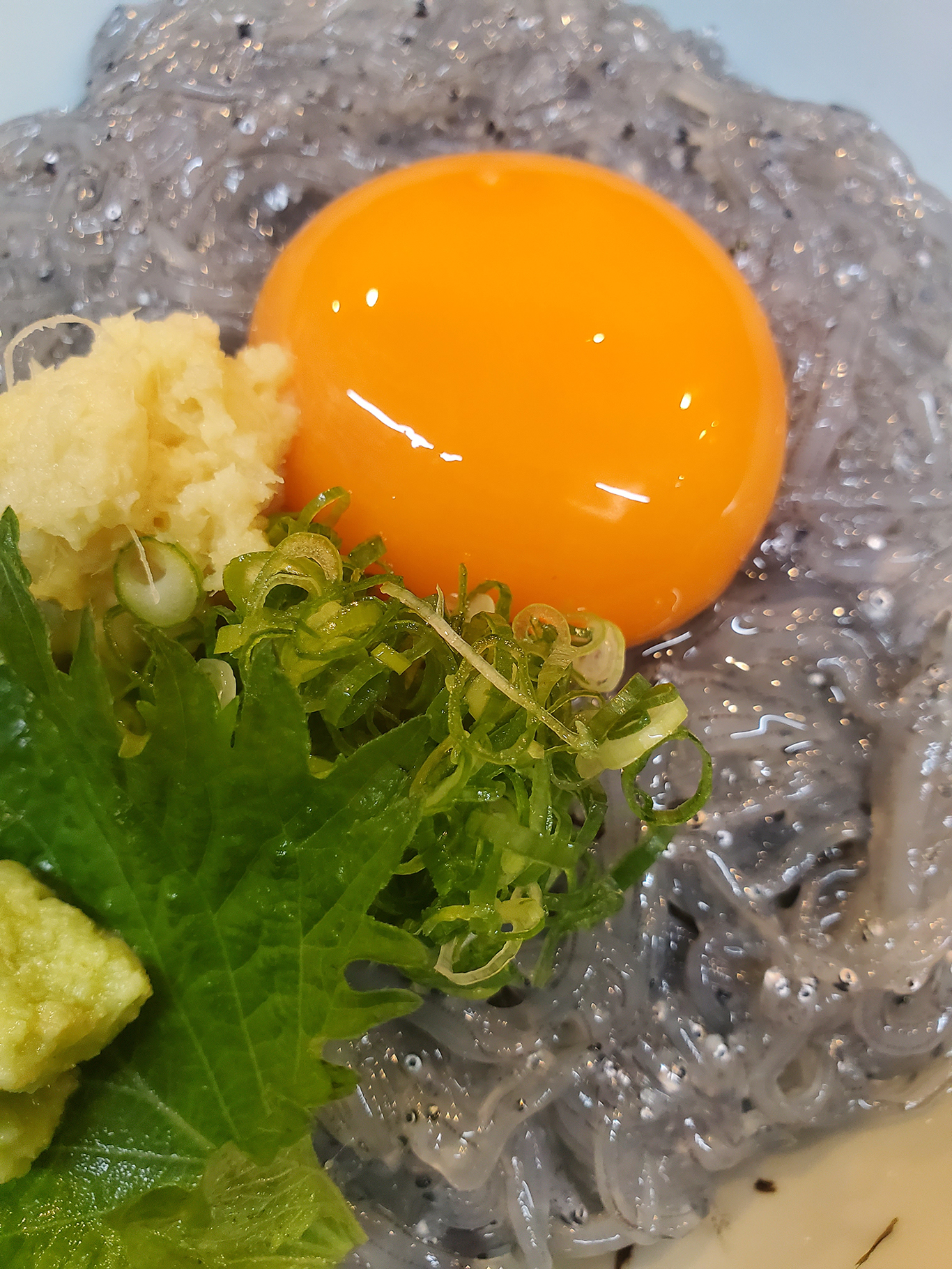 期間限定！生しらす丼販売中